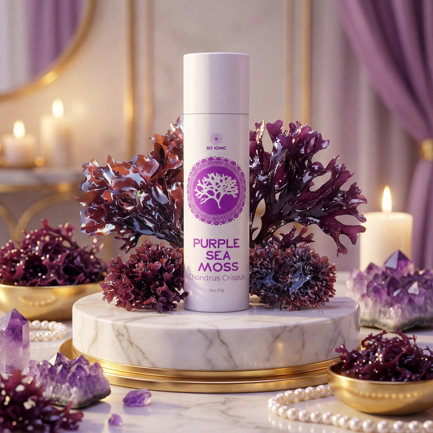 Purple Sea Moss (Chondrus Crispus)